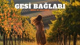 Gesi Bağları Psychedelic Anatolian Rock Mind Of Anatolia