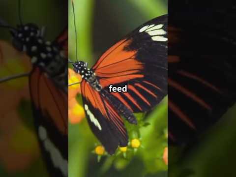 3 Mind Blowing Facts Episode 20 