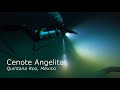 Diving Cenote Angelita - Mexico #scubadiving #cenote #cenotes #cenotesmexico #mexico #tulum #maya