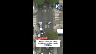 Celebrity Pedestrian hit and killed by bus in Santa Monica #santamonica #breakingnews Net Worth