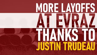 More layoffs at EVRAZ Steel
Justin Trudeaus attacks on Canadas oil and gas sector predictably cause more layoffs at EVRAZ Steel in Regina. More layoffs at EVRAZ Steel