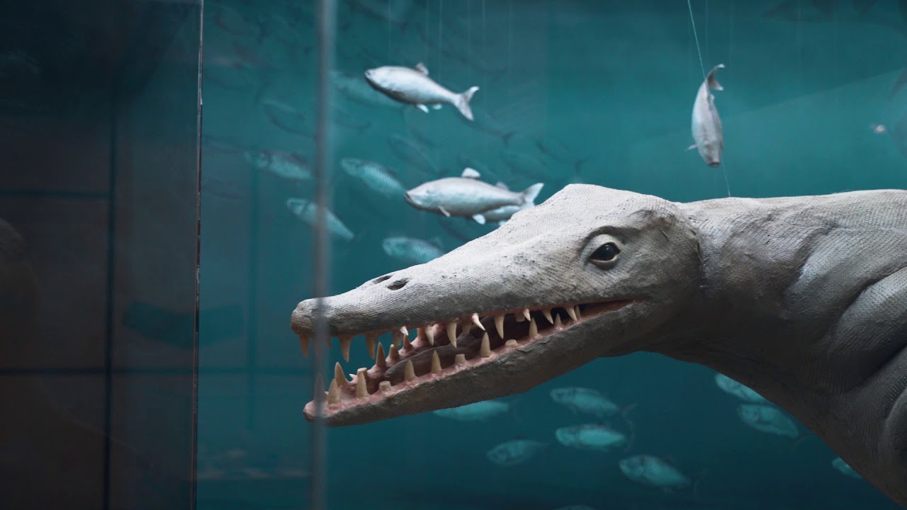 Experience the Canadian Fossil Discovery Centre YouTube