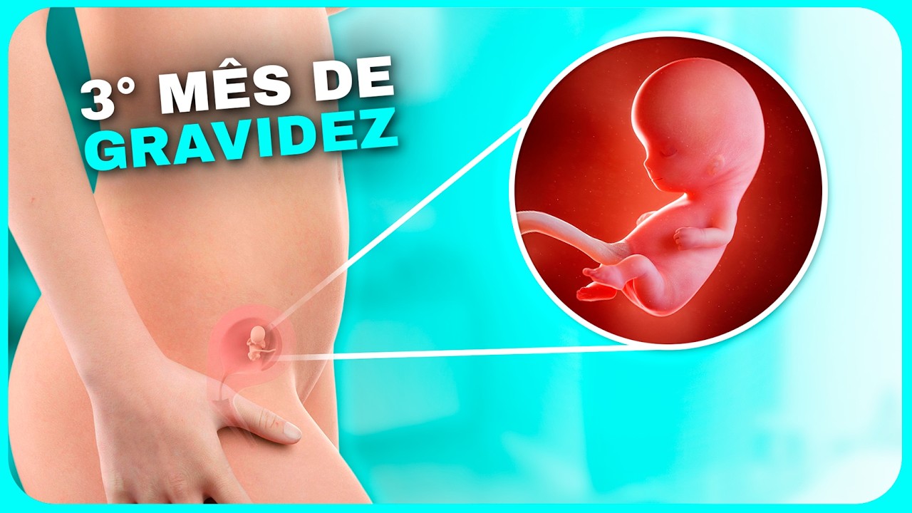 3 Meses de Gravidez: A Fase Mágica da Gravidez | Semanas 9, 10, 11, 12