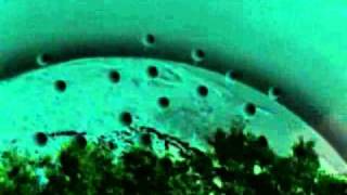 Funkfeuer 54 - Green Skies