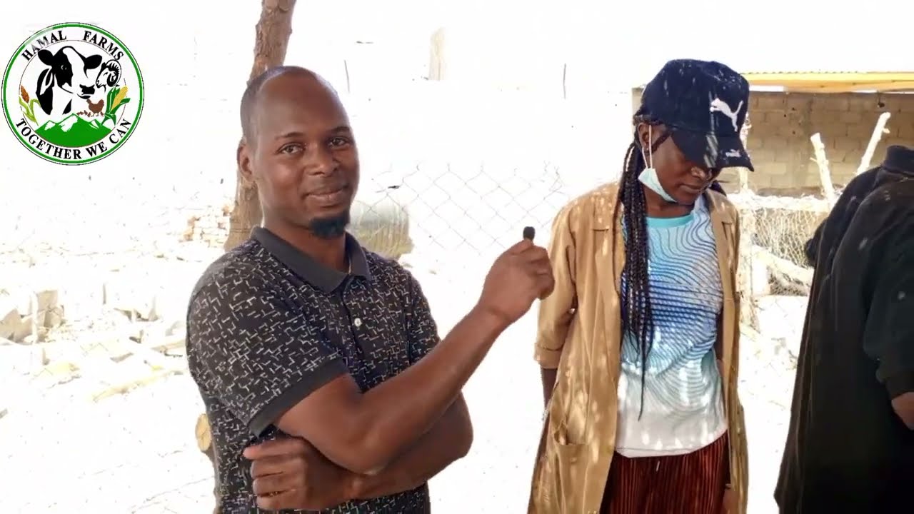 Comment réduire la durée de fermentation d'un ensilage ?