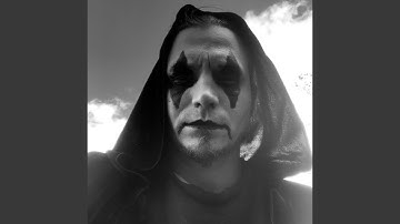 On the deep and woody way