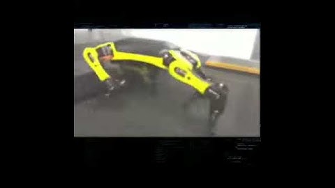 robot dog running on a treadmill petlover robotics Kickstarter Petoi Bittle OpenCat Raspberry Pi a