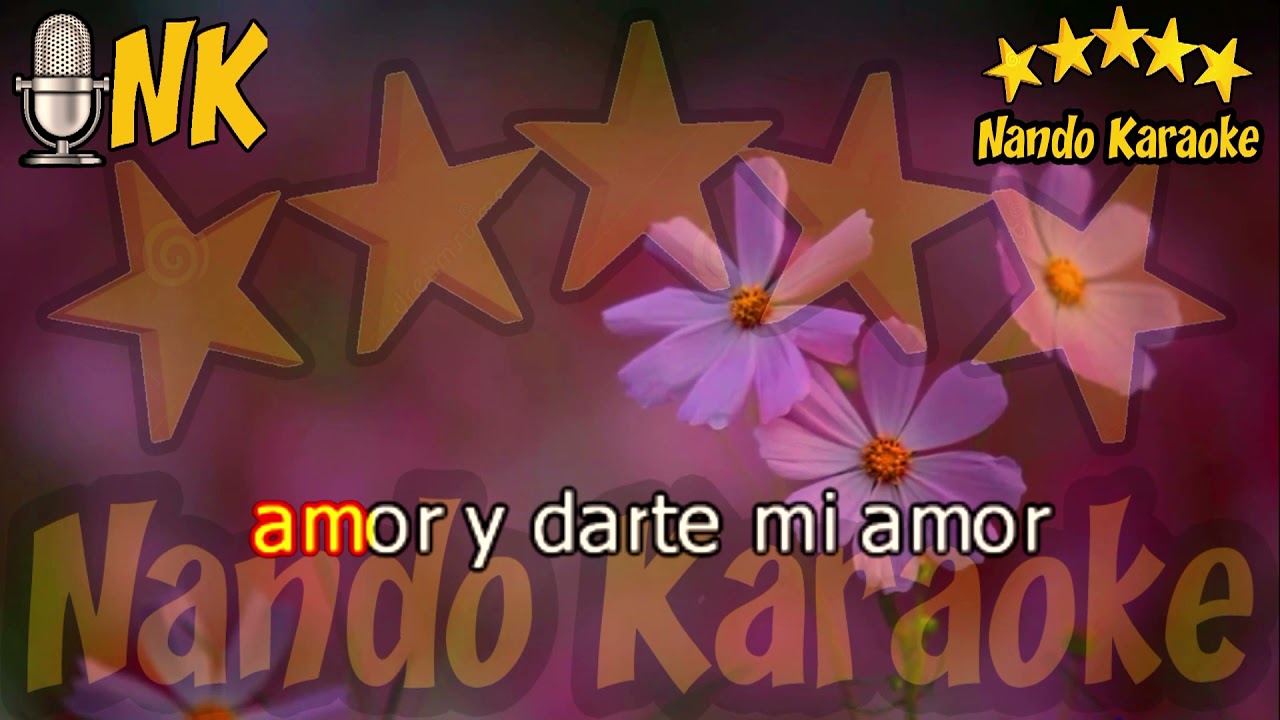 SIEMPRE ESTOY PENSANDO EN ELLA - Leo Dan Karaoke