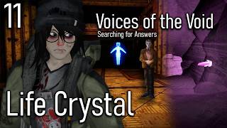 What is the Life Crystal? - Voices of the Void: Searching for Answers #11