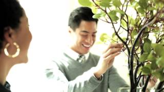 Complimentary Interior Design Services for A Beautiful Home | Pottery Barn