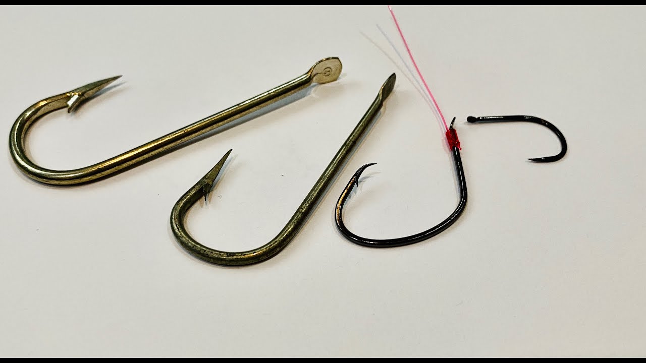 Fishing is more effective with blind hook الصيد أكثر فعالية مع الخطاف