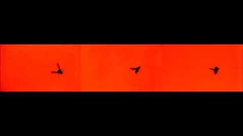 Wing-kinematics measurement and aerodynamics in a small insect in hovering flight