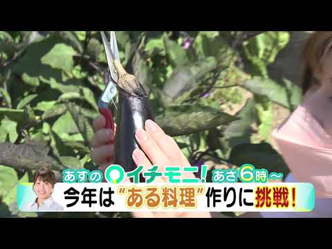 【HTB公式】9月15日(水)イチモニ！番宣