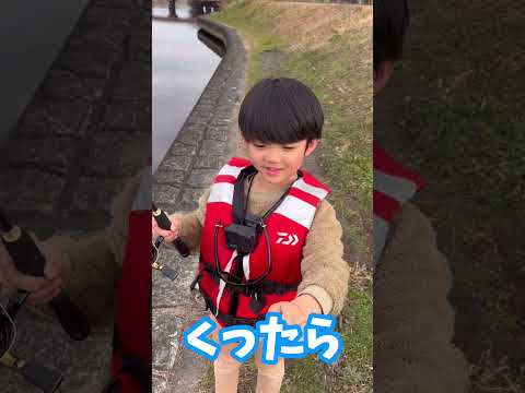 【バス釣り】コイケシュリンプを使ってみました！#shorts #コイケシュリンプ
