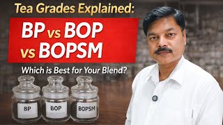 Tea Grades Explained | BP vs BOP vs BOPSM #teabusiness #teaeducation