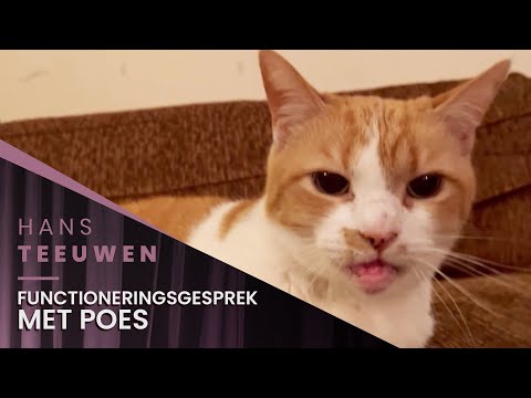 Hans Teeuwen - Functioneringsgesprek met Poes