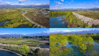 mqdefault.jpg