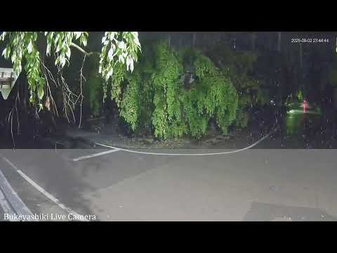 角館武家屋敷通りライブ映像