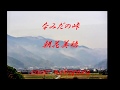 なみだの峠 朝花美穂 cover nakagawa