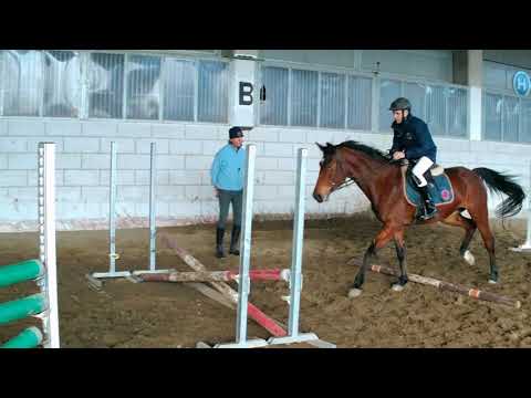 Video: Suggerimenti per l'allenamento del cavallo: come allenarsi per gare di barrel, con video