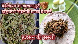 बरसतम मलनवल सजवन ह य हडसन मल त इसक सबज जरर खन हडजड क सबज Hadsan Ki Sabji