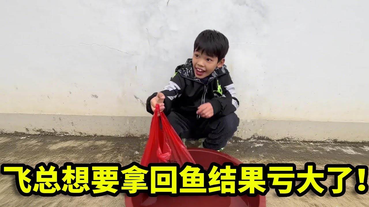 牛漏买下飞总三条鱼，本想用“孙子兵法”智取回本，结果计亏一篑，反倒亏大了！【漏总飞总】