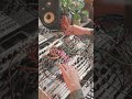 Vostok Sena, Fuji and Ceres, Sealegs, Beads #ambient #eurorack #modular #hermod #intellijel #vostok