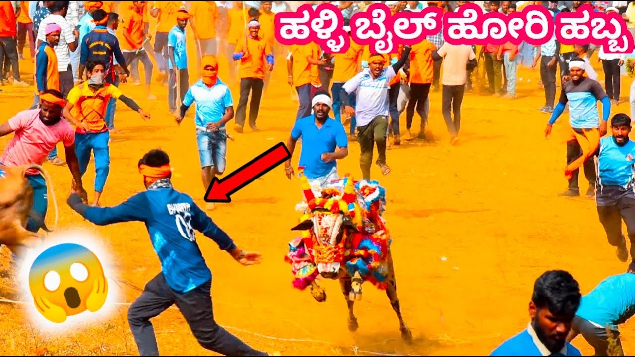 Hallibail Hori Habba | ಹಳ್ಳಿ ಬೈಲ್ ಹೋರಿ ಹಬ್ಬ 😎👇