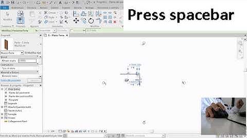 Interfaccia Browser e proprietà Revit (Browser interface and Revit properties)