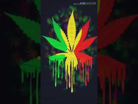 Daun ganja - YouTube