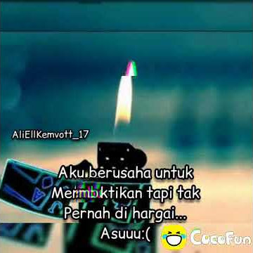 Story WA apes