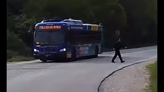 Bus Driver Helps Turtle Cross Milwaukee Road