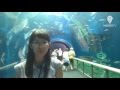 「琵琶湖博物館」リニューアルオープン の動画、YouTube動画。