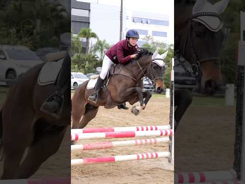 HIPISMO: DOMINE A ARTE DOS SALTOS EQUESTRES