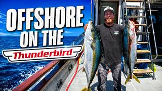 Offshore On The Thunderbird. Game Fish were Biting!