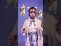 【#猫ミーム 】#dance #cat #catmemes #dancing #memes