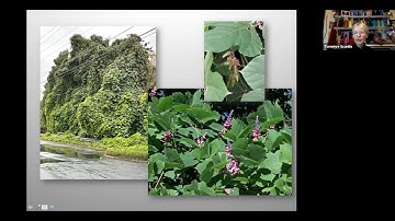 "The Nature of Things: How the Natural World Guides My Tapestries" with Tommye McClure Scanlin