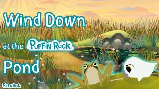 Wind Down at the Puffin Rock Pond 🐸🌿 | Calming screenshot 2