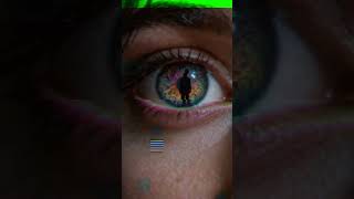 Case File #001: The Gallery Glitch