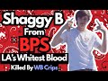 The Story Of Shaggy B From BPS Aka The Whitest Blood In LA Killer From WBC Gets 2 Life Sentences 