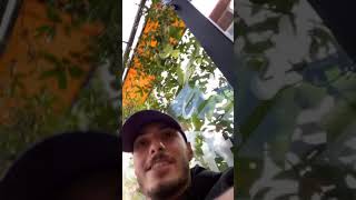 Kardeş Sözü Dinlemeyen Abinin Hazin Sonu