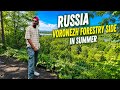 Russia Voronezh forestry side in summer 🌞 #russia #information #vlog #study #viral #funny