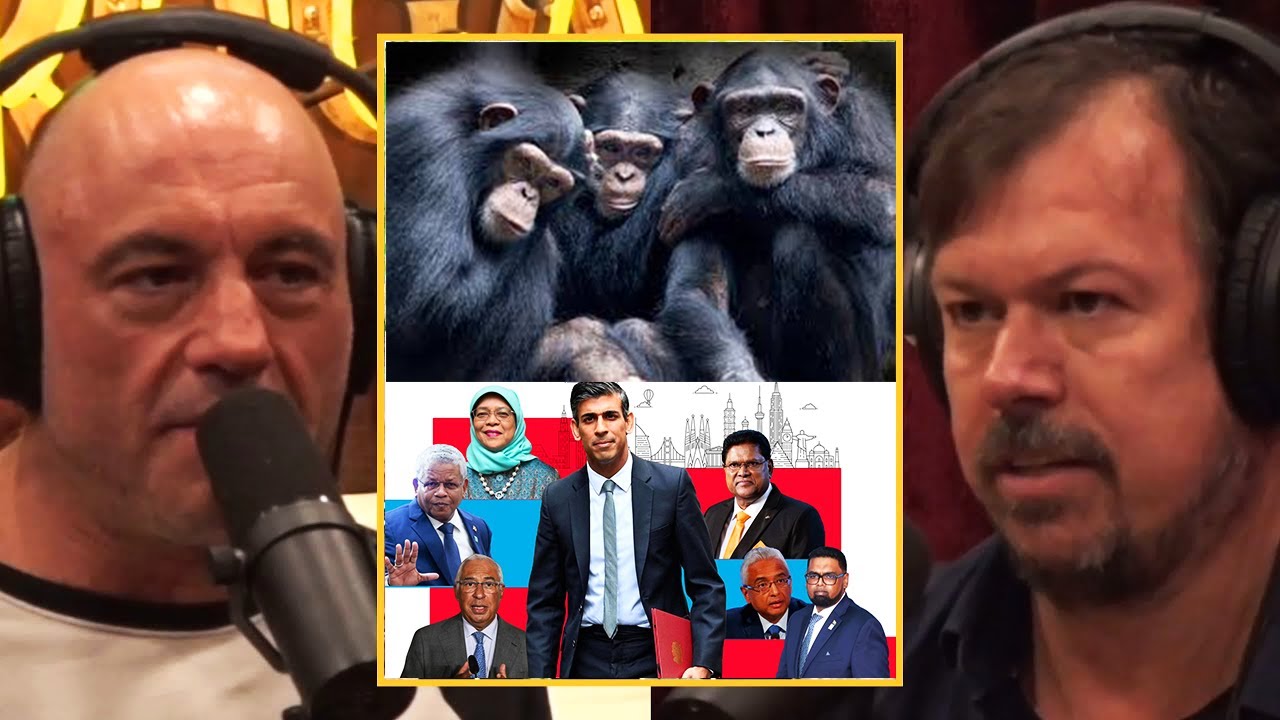 Joe Rogan Evolution Primate How Chimpanzees Choose Their Leaders | Joe Rogan Podcast - YouTube