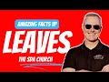 S5e17  amazing facts vp leaves adventism  dr allen davis