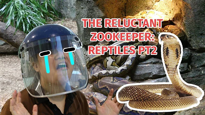 The Reluctant Zookeeper Episode 6 part 2: Reptiles