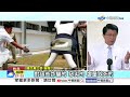 "重啟核電.安樂死"公投拚逕付二讀 綠怕"民意反撲"狂反?!│中視新聞 20260714