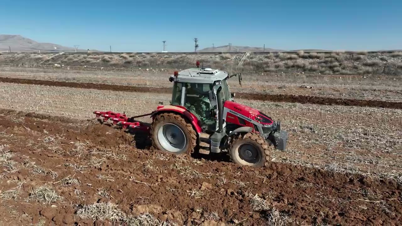 ŞANZIMAN DAN İYİ SES GELİYOR