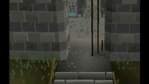 Runescape  Some Skillcape emotes