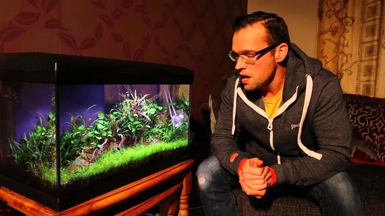 NEWA Mirabello 60 -  3 month update