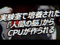 実験室で培養された「人間の脳」からCPUが作られる